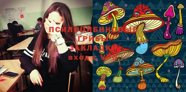 марки lsd Абаза