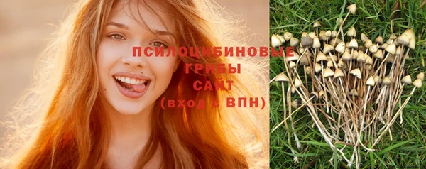 гидропоника Абинск
