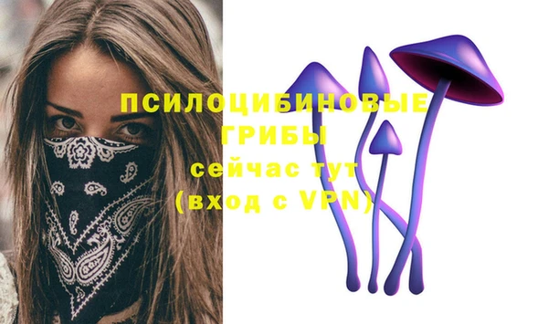 гидропоника Абинск