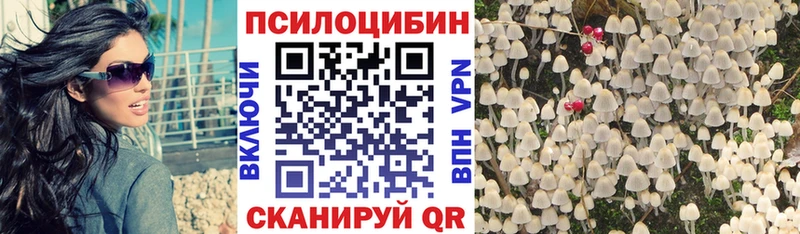 Галлюциногенные грибы GOLDEN TEACHER  МЕГА онион  Чулым 